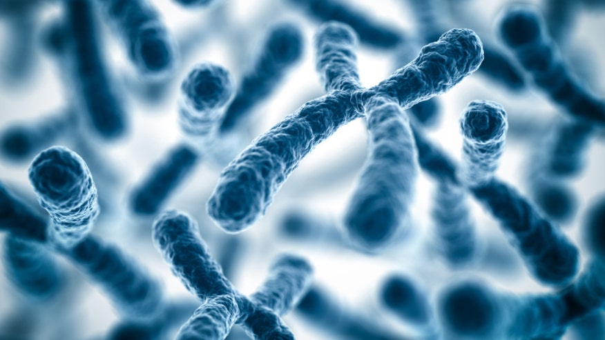 Chromosomes DNA genes istock.jpg